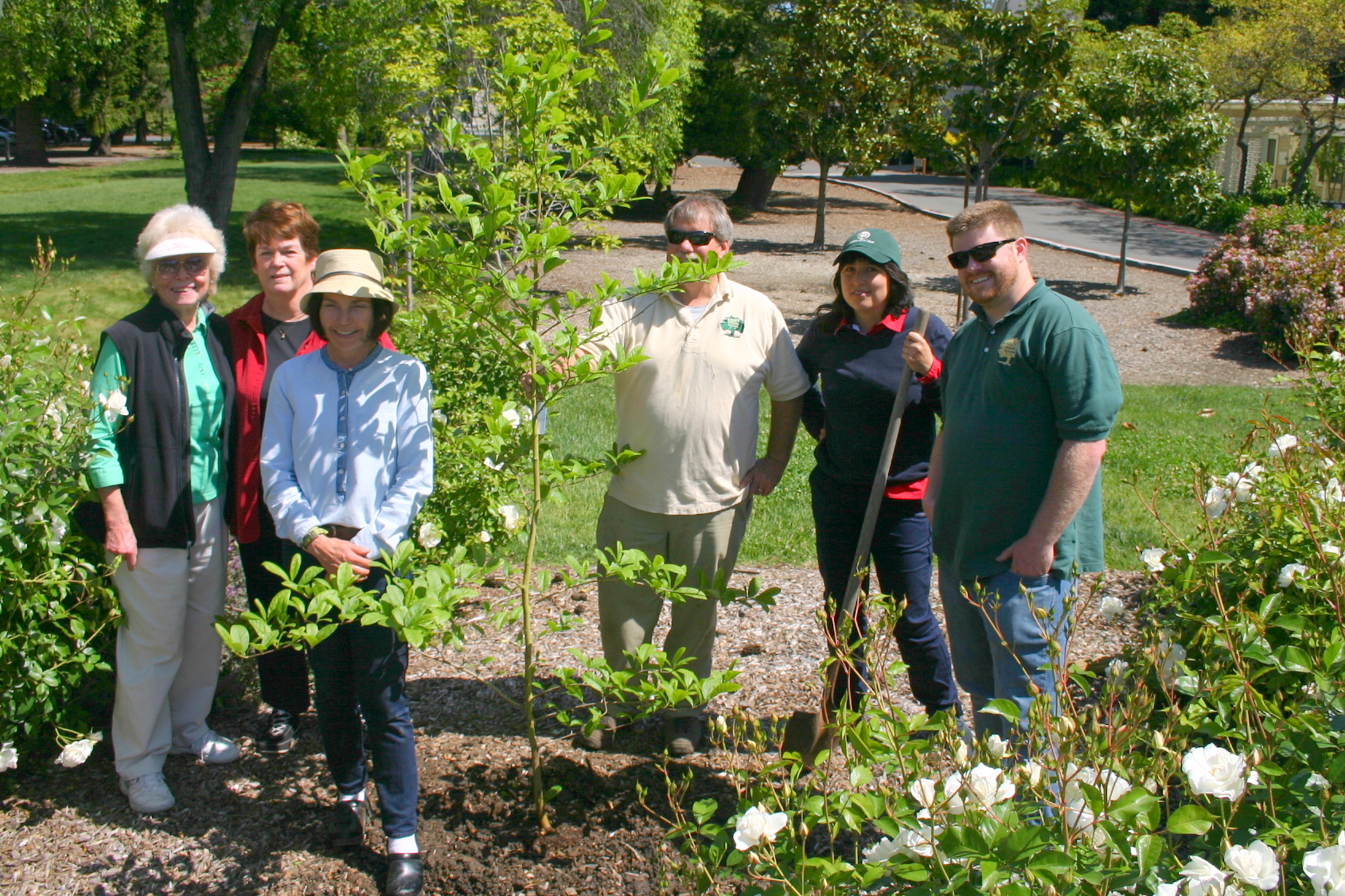 One Tree Planted